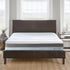 10" Softside Waterbed