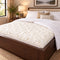 Queen Waterbed Mattress Pad Cover Quilted Waterproof Encasement
