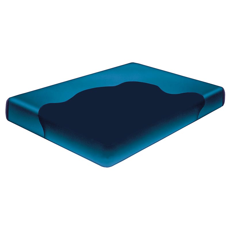 Free Flow Waterbed Mattress